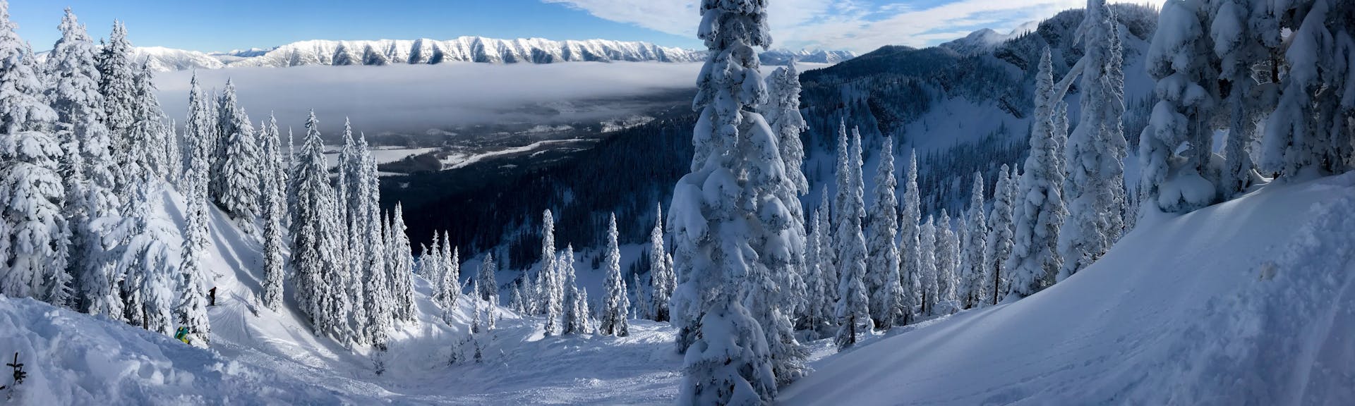 Panoramic shot of Fernie resort's snow covered trees